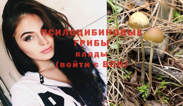 а пвп мука Михайлов