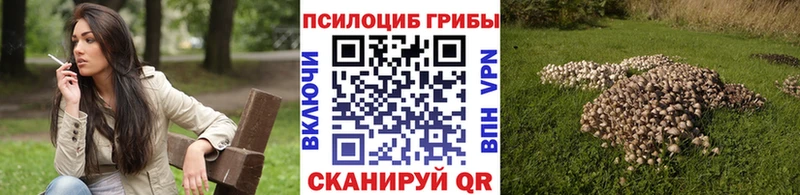 Псилоцибиновые грибы Cubensis  наркотики  Ершов 